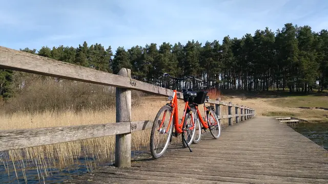 Trasy rowerowe w okolicy Dębek i Odargowa